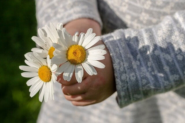 литература для педагогов и родителей